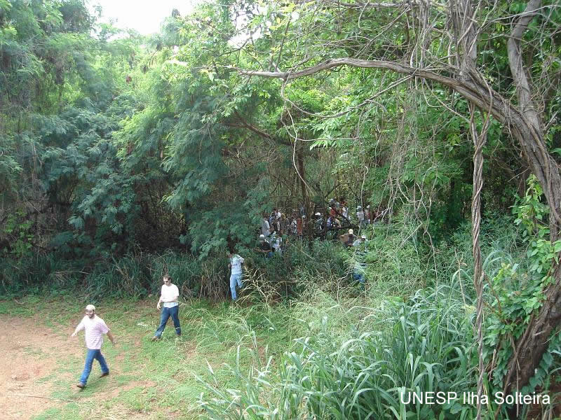 aula_pratica_5out2009 (46).jpg